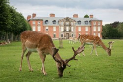 Dunham_Massey_Hall_20080803-1