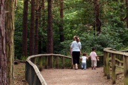 formby pinewoods echo