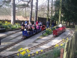 royden park train