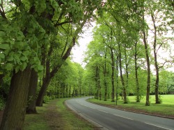 sefton park 2