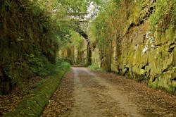 wirral country park