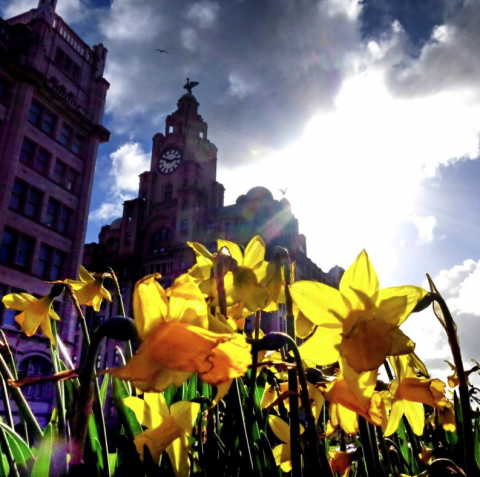 liverpool in spring